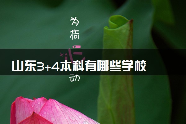 山东3+4本科有哪些学校