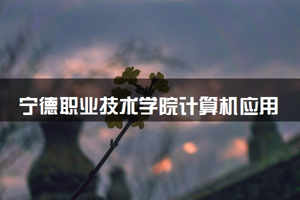 宁德职业技术学院计算机应用技术专业怎么样 录取分数线多少