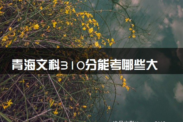 青海文科310分能考哪些大学 2025考生稳上的大学名单