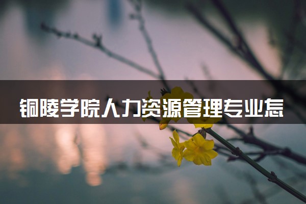 铜陵学院人力资源管理专业怎么样 录取分数线多少