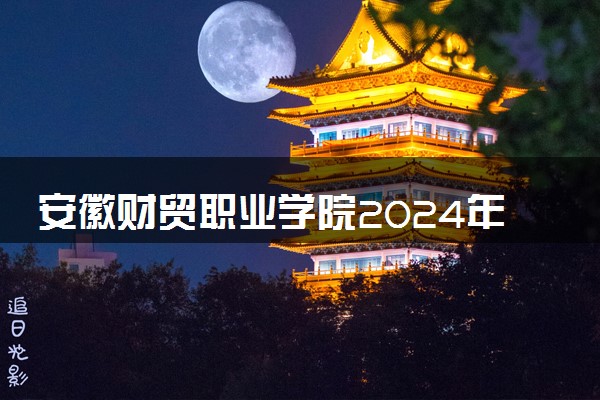 安徽财贸职业学院2024年各省录取分数线 多少分能考上