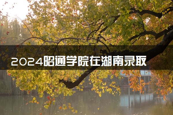 2024昭通学院在湖南录取分数线 各专业分数及位次