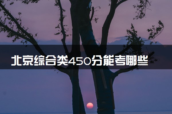 北京综合类450分能考哪些大学 2025考生稳上的大学名单