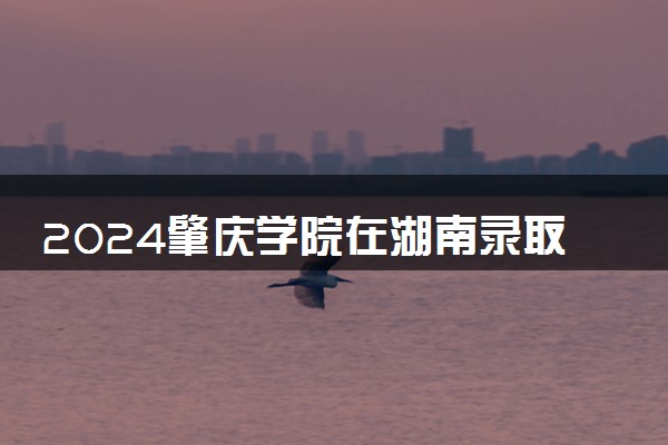 2024肇庆学院在湖南录取分数线 各专业分数及位次