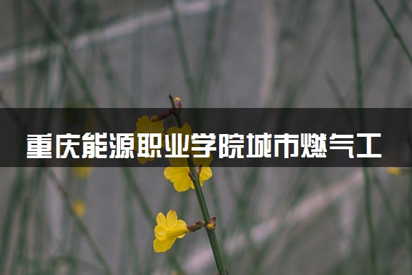 重庆能源职业学院城市燃气工程技术专业怎么样 录取分数线多少