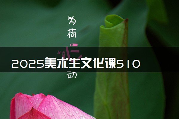 2025美术生文化课510分能上湖州学院吗