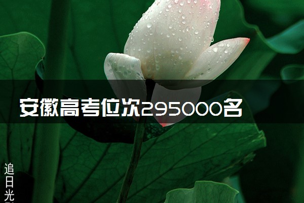 安徽高考位次295000名左右报什么大学好（2025年参考）