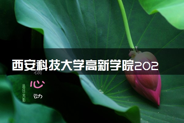 西安科技大学高新学院2024年各省录取分数线 多少分能考上
