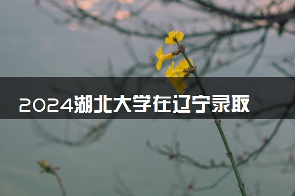 2024湖北大学在辽宁录取分数线 各专业分数及位次