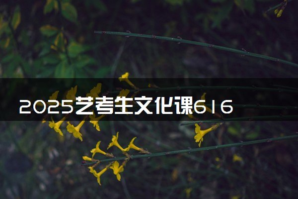 2025艺考生文化课616分能上上海外国语大学吗