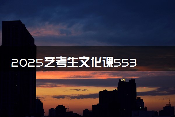 2025艺考生文化课553分能上安徽大学吗
