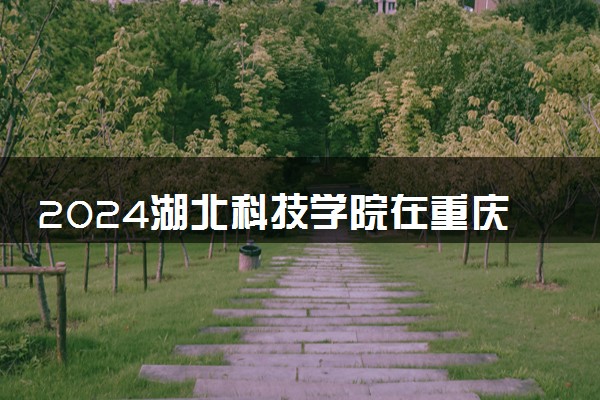 2024湖北科技学院在重庆录取分数线 各专业分数及位次