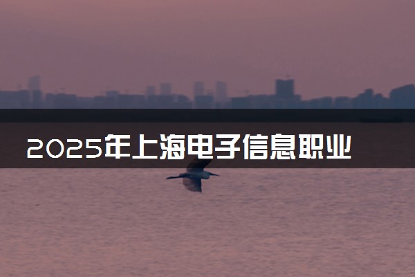 2025年上海电子信息职业技术学院全国排名及录取分数线