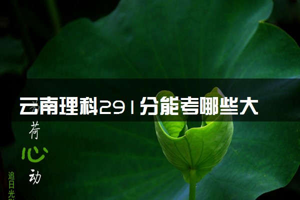 云南理科291分能考哪些大学 2025考生稳上的大学名单