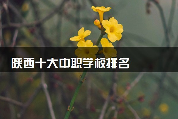 陕西十大中职学校排名