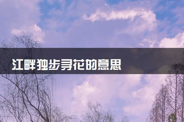 江畔独步寻花的意思
