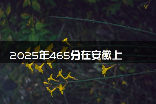 2025年465分在安徽上什么大学好 近三年录取分数线是多少