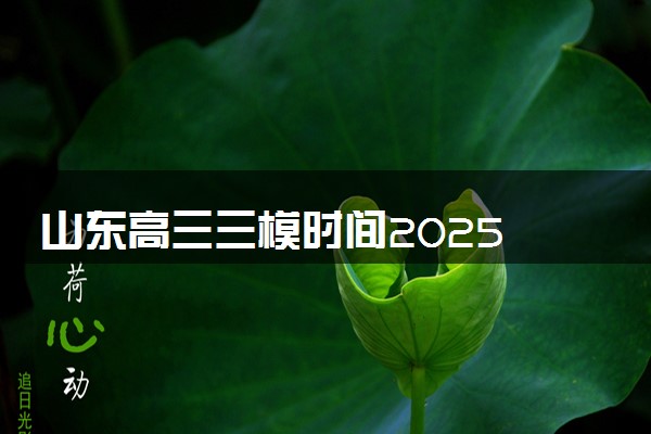 山东高三三模时间2025 几号开始考试