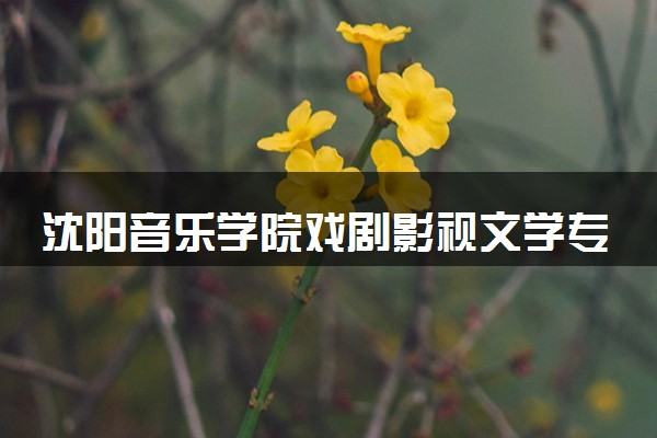 沈阳音乐学院戏剧影视文学专业怎么样 录取分数线多少