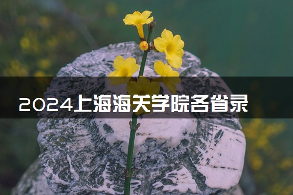 2024上海海关学院各省录取分数线是多少 最低分及位次