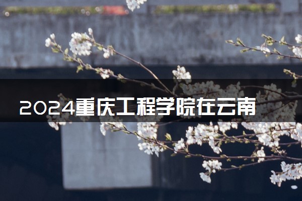 2024重庆工程学院在云南录取分数线 各专业分数及位次