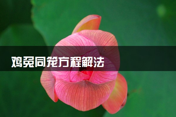 鸡兔同笼方程解法