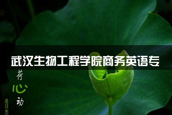 武汉生物工程学院商务英语专业怎么样 录取分数线多少