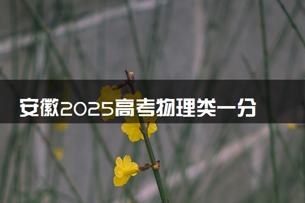 安徽2025高考物理类一分一段表 附位次排名对应大学