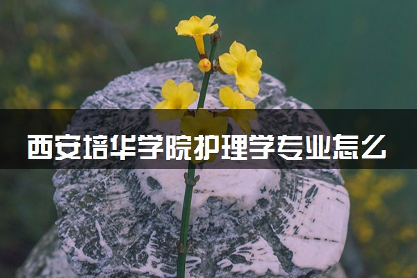 西安培华学院护理学专业怎么样 录取分数线多少