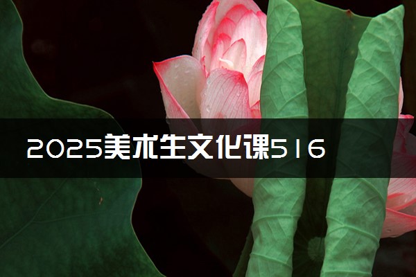 2025美术生文化课516分能上杭州师范大学吗