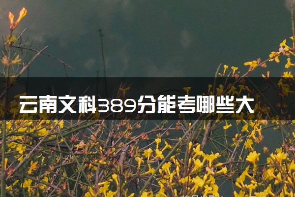 云南文科389分能考哪些大学 2025考生稳上的大学名单