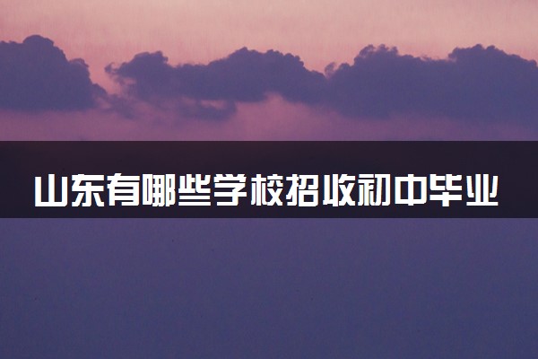 山东有哪些学校招收初中毕业生