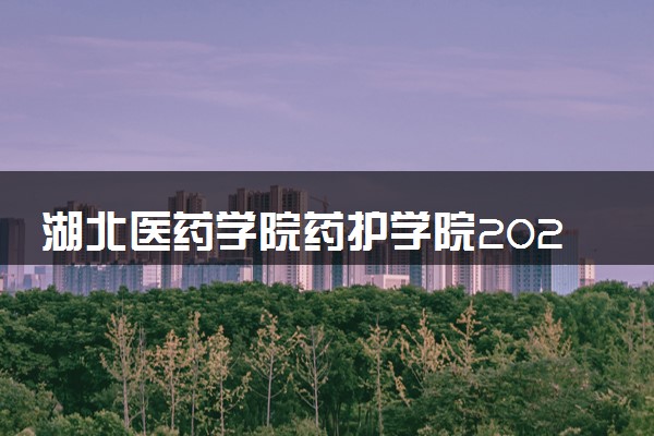 湖北医药学院药护学院2024年各省录取分数线 多少分能考上