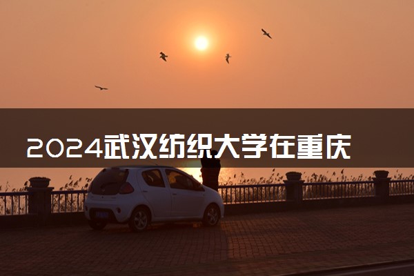 2024武汉纺织大学在重庆录取分数线 各专业分数及位次