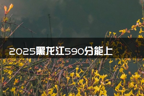2025黑龙江590分能上的大学有哪些 可以报考院校名单