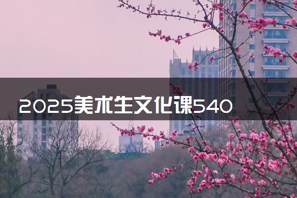 2025美术生文化课540分能上山东师范大学吗