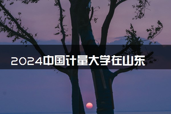 2024中国计量大学在山东录取分数线 各专业分数及位次