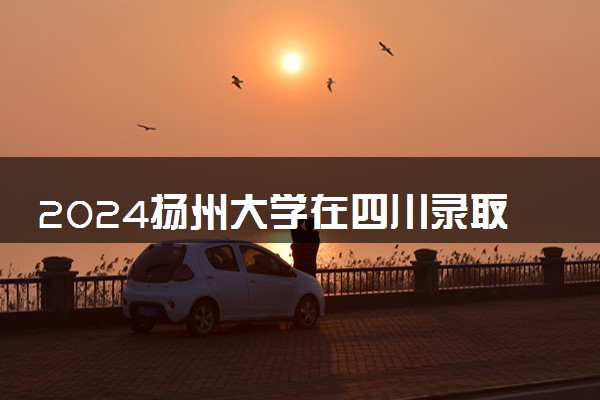 2024扬州大学在四川录取分数线 各专业分数及位次
