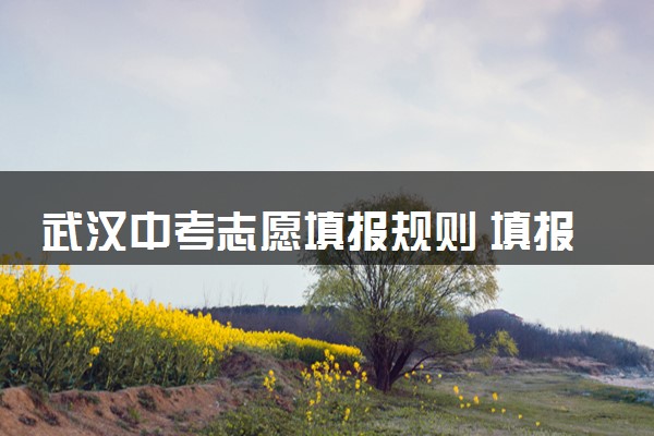 武汉中考志愿填报规则 填报注意事项