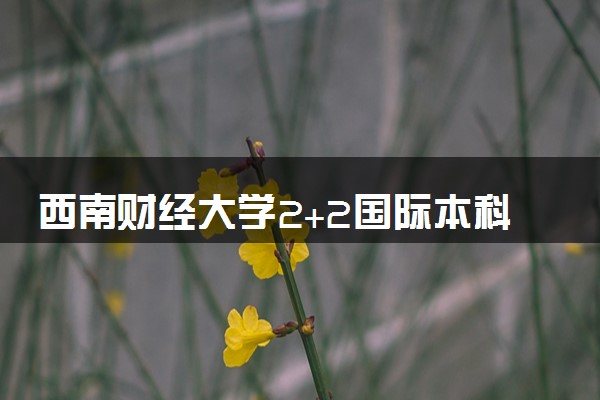 西南财经大学2+2国际本科专业及学费 实力怎么样