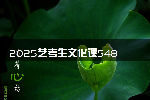 2025艺考生文化课548分能上河北师范大学吗
