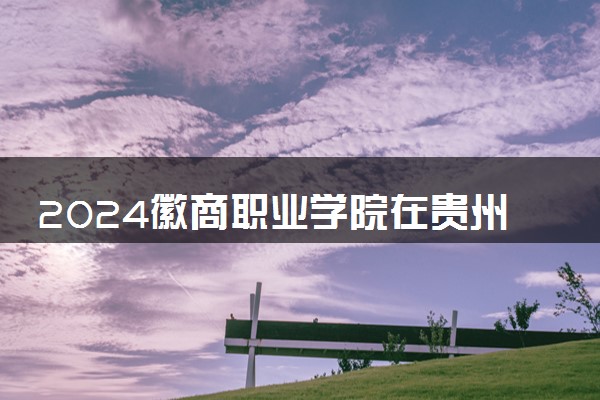 2024徽商职业学院在贵州录取分数线 各专业分数及位次
