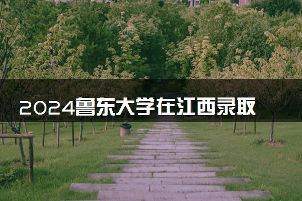 2024鲁东大学在江西录取分数线 各专业分数及位次