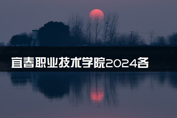 宜春职业技术学院2024各省录取分数线及最低位次是多少