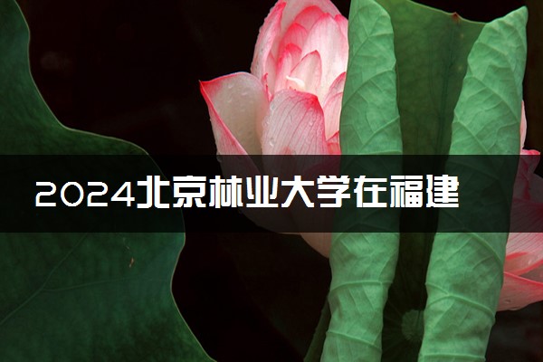 2024北京林业大学在福建录取分数线 各专业分数及位次