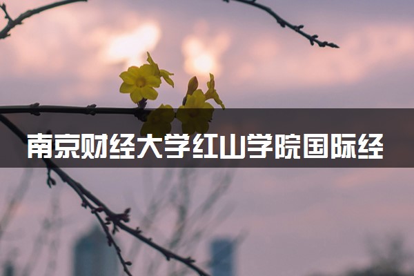南京财经大学红山学院国际经济与贸易专业怎么样 录取分数线多少