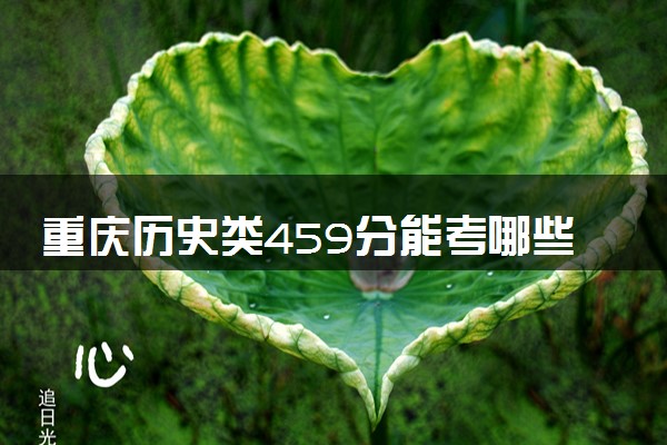 重庆历史类459分能考哪些大学 2025考生稳上的大学名单