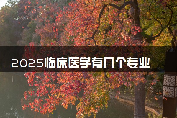 2025临床医学有几个专业 什么最吃香