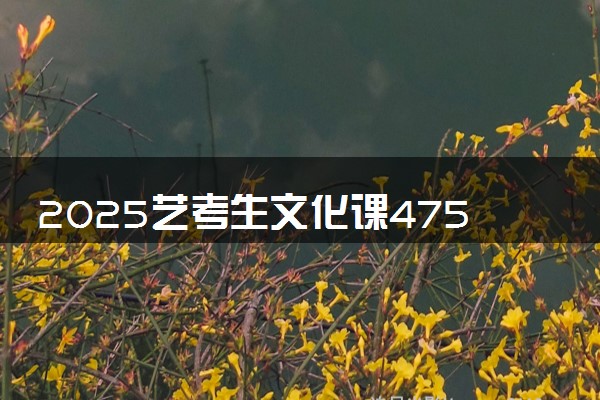 2025艺考生文化课475分能上淮阴师范学院吗