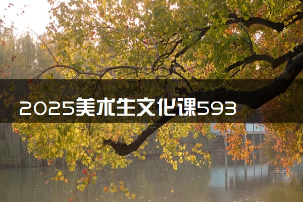 2025美术生文化课593分能上西南大学吗
